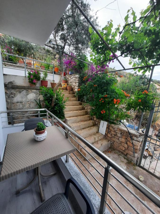 סרנדה Nora'S Guesthouse מראה חיצוני תמונה