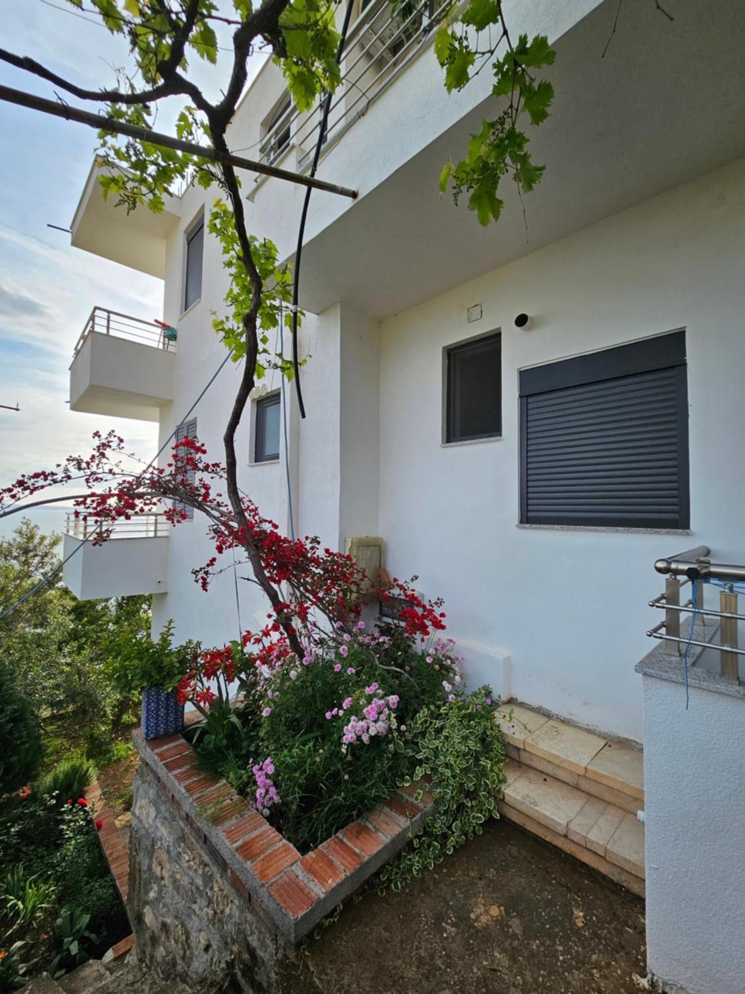 סרנדה Nora'S Guesthouse מראה חיצוני תמונה