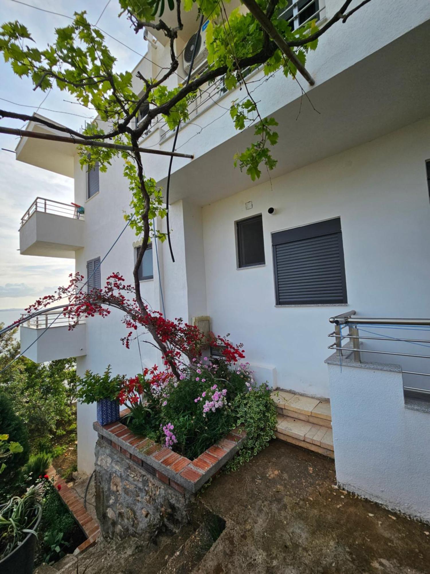 סרנדה Nora'S Guesthouse מראה חיצוני תמונה