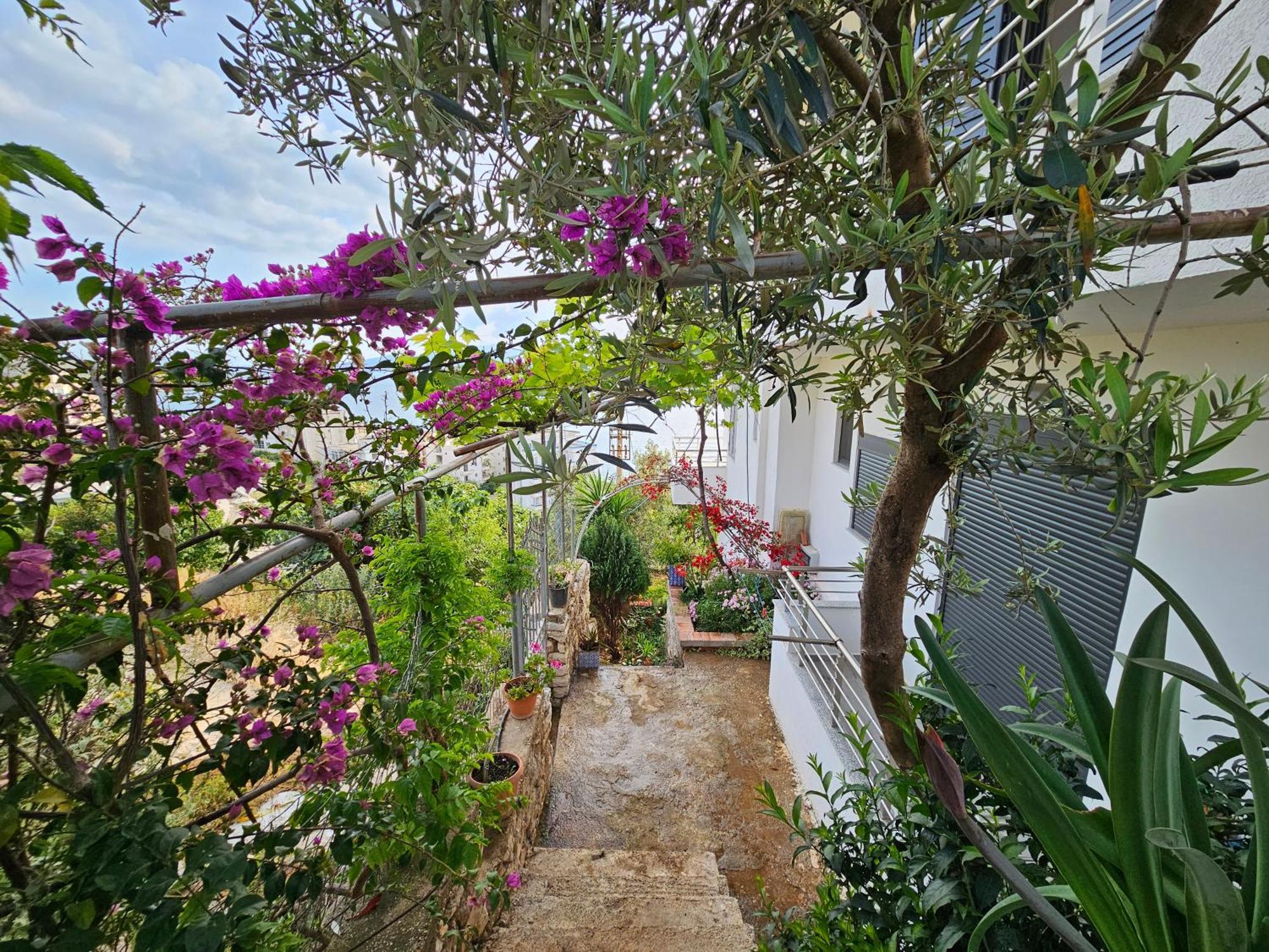 סרנדה Nora'S Guesthouse מראה חיצוני תמונה