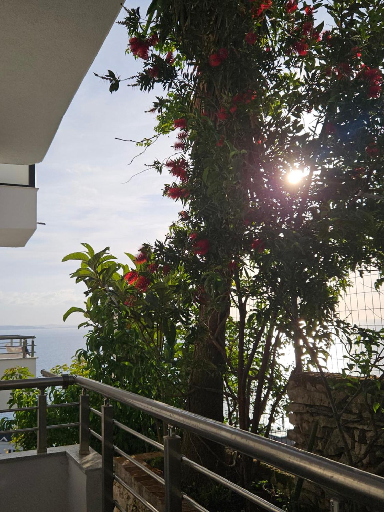 סרנדה Nora'S Guesthouse מראה חיצוני תמונה
