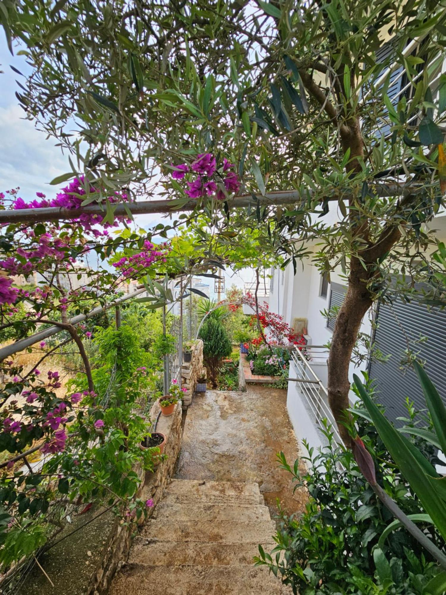 סרנדה Nora'S Guesthouse מראה חיצוני תמונה